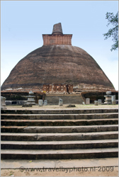 viha